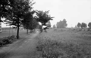 Senftenberg